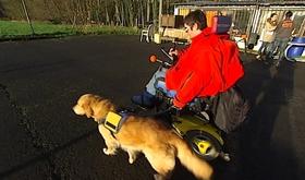Chiens d'assistance: un passeport pour une meilleure accessibilité