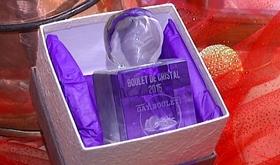 Boulet de cristal pour le  Point de vue 