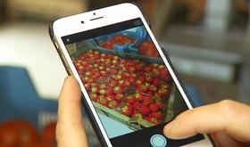 Anti-gaspillage: une nouvelle application mobile
