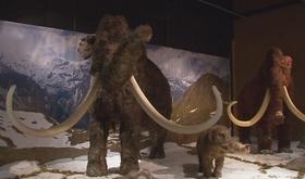 Géants de l' âge de glace au Préhistomuseum