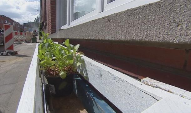 Jardiner dans les rues de Liège, c'est permis!