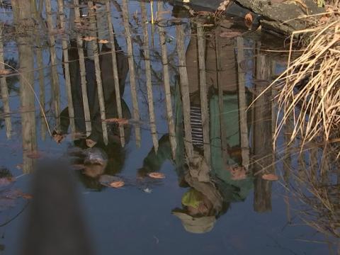 Journées de l'eau : Création de mares à Chaudfontaine