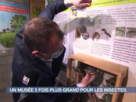 L'insectarium Hexapoda s'agrandit
