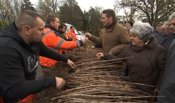 La 35 ème distribution gratuite d'arbres en Wallonie