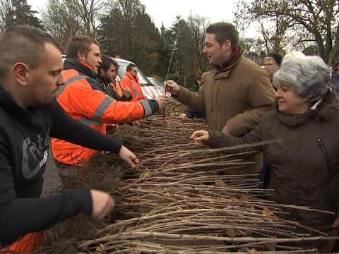 La 35 ème distribution gratuite d'arbres en Wallonie