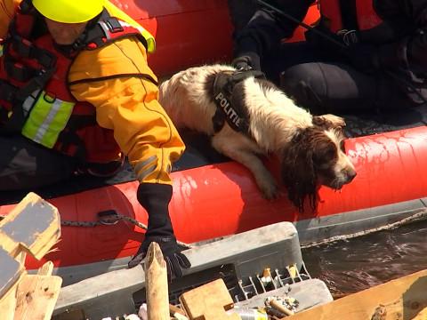 La recherche de victimes des inondations se poursuit ce mardi