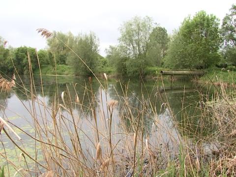 La réserve naturelle du Haut-Geer fête ses 10 ans 