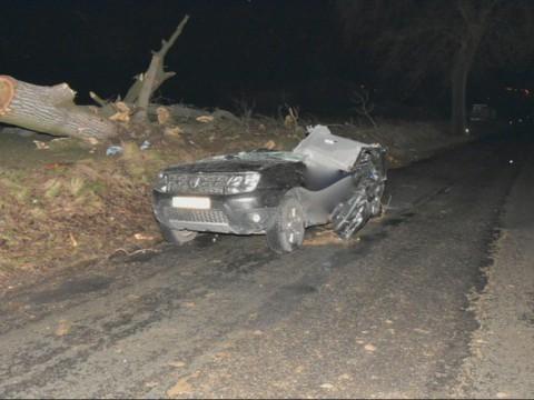 Un arbre tombe sur une voiture : deux morts à Dalhem 