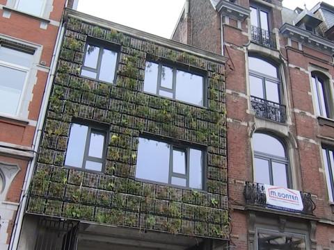 La végétalisation urbaine, le défi d'une spin-off de l'ULiège  