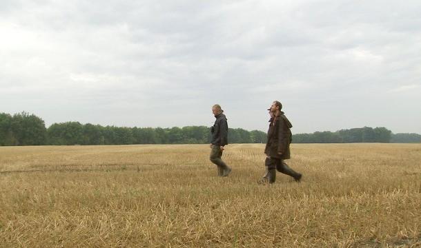 Le bois des Pendées pour conserver la biodiversité 