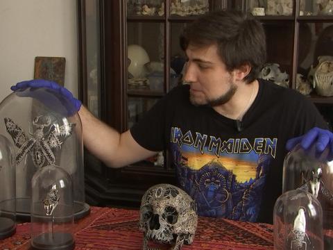 Le cabinet de curiosité et les créatures hybrides de Lionel Lebeau 