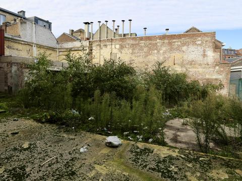 Les citoyens n'ont pas réussi à acquérir le terrain de la Porte-Aux-Oies 