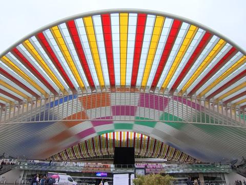 LES GUILLEMINS EN COULEURS 1 AN DE PLUS