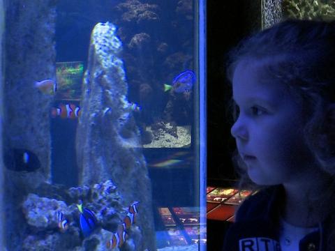 Météo changeante, bilan heureux pour l'Aquarium de Liège
