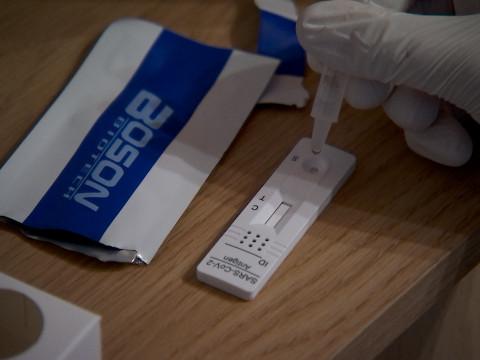 Les tests antigéniques arrivent en pharmacie 