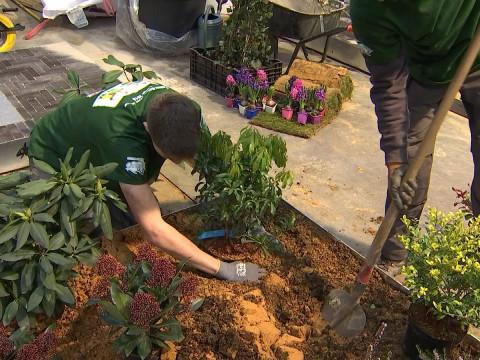 Liège: Concours du meilleur jeune jardinier