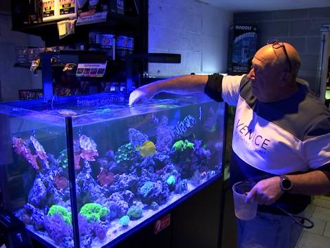 Liège: Un garage dédié au monde marin
