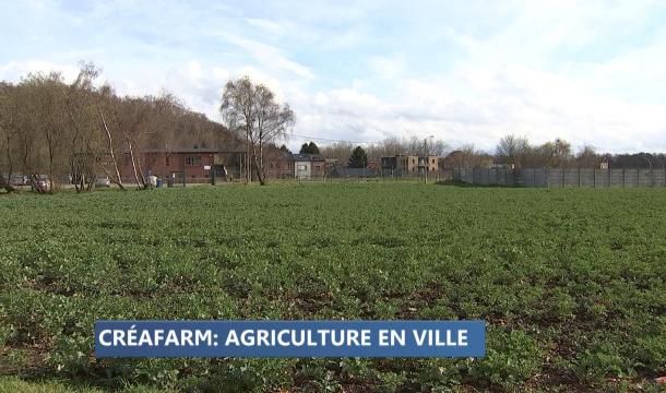 Liège : un projet de maraîchage dans le quartier des Tawes