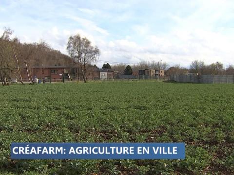 Liège : un projet de maraîchage dans le quartier des Tawes