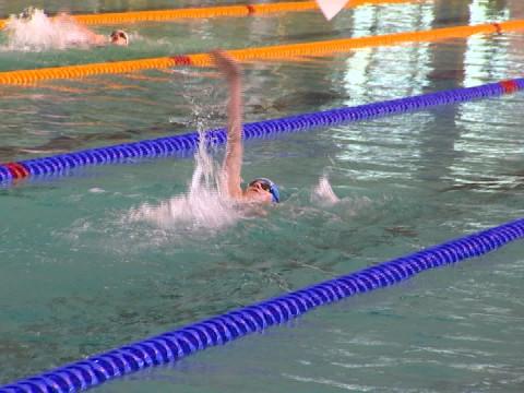 Natation : Le Janus, une répétition de choix organisée par un ESN Seraing en renouveau