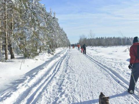 Neufs centres de ski ouverts