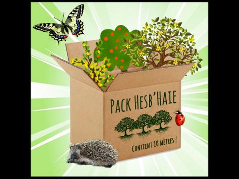 Packs Hesb'haie: on remet le couvert!