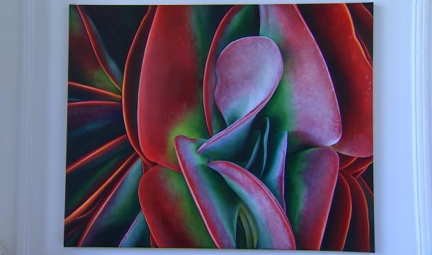 Plantasia : birds of Paradise : Adèle Renault expose sa nouvelle série à la galerie Quai4