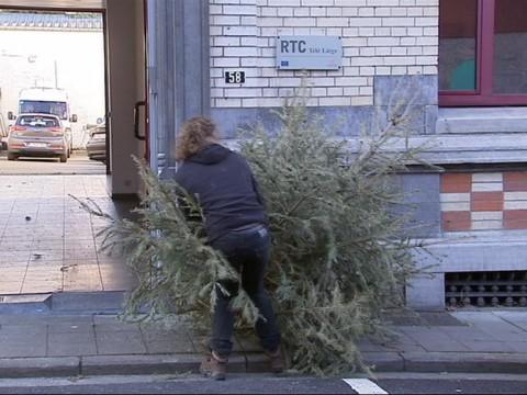 Préparez-vous au ramassage des sapins naturels