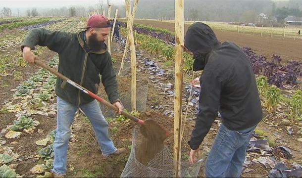 Restaurons la Terre : un projet d'agro-foresterie entre Nord et Sud