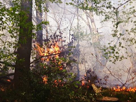 Risques d'incendie : élargissement des mesures d'interdiction