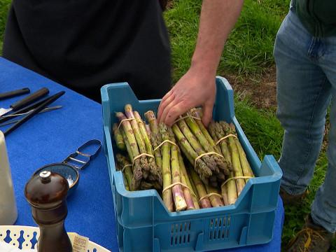 Rosoux: la saison des asperges a démarré avec trois semaines d'avance!