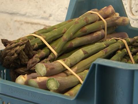 Rosoux: la saison des asperges vient de débuter