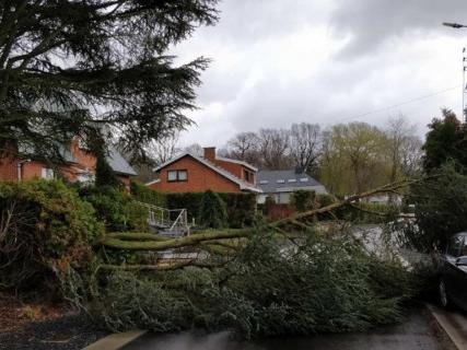 Tempête : 1841 appels au 1722 en région liégeoise 