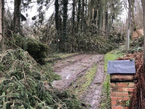 Tempête : une cinquantaine d'interventions des pompiers liégeois