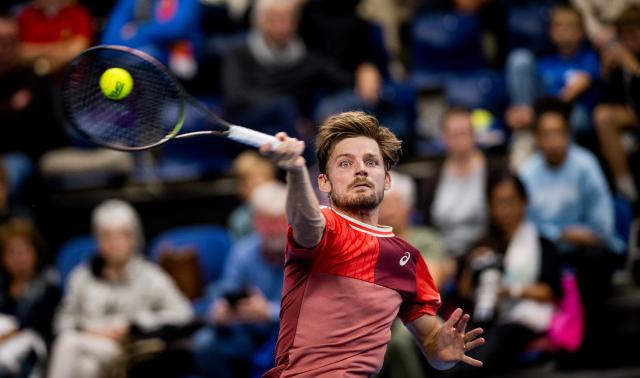 Tennis : David Goffin et Gauthier Onclin en pleine forme