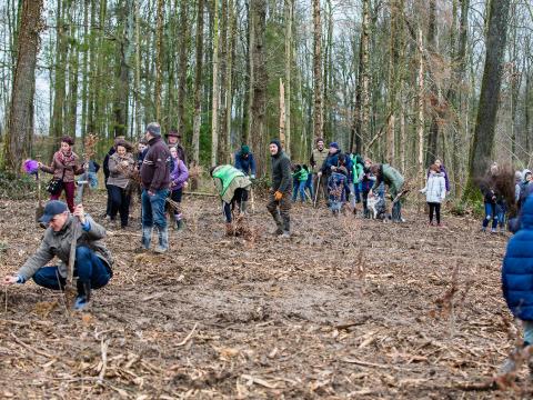 Tinlot : plantation de 3000 arbres 