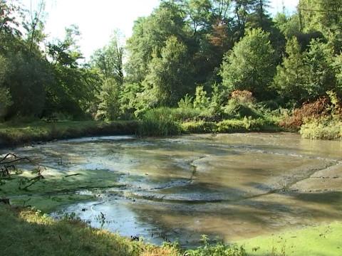 Visé: Gros lifting pour les Etangs de la Julienne