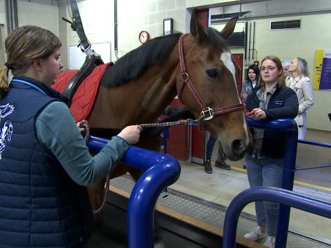 Visite ministérielle chez les vétérinaires de l'ULiège