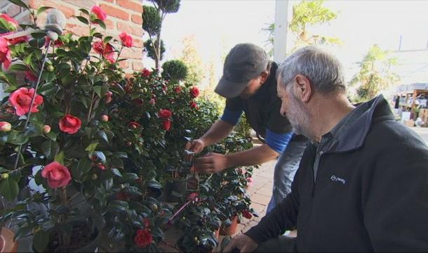 Voilà le printemps : et du travail pour les jardineries