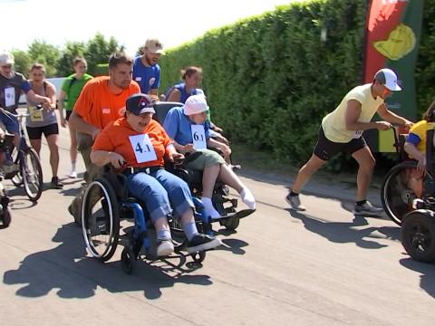 Les Coccinelles font la course !