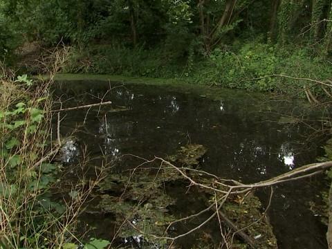 Waremme: 2 sites naturels en voie de réhabilitation