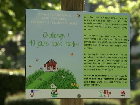 Waremme: 40 jours sans tondre pour la biodiversité