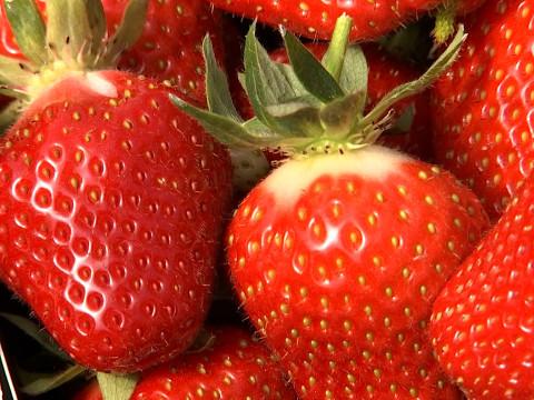 Waremme: la fête de la fraise démarre ce soir