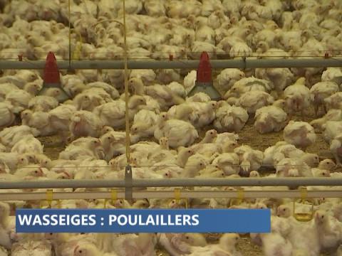 Wasseiges : l'extension d'un poulailler divise 