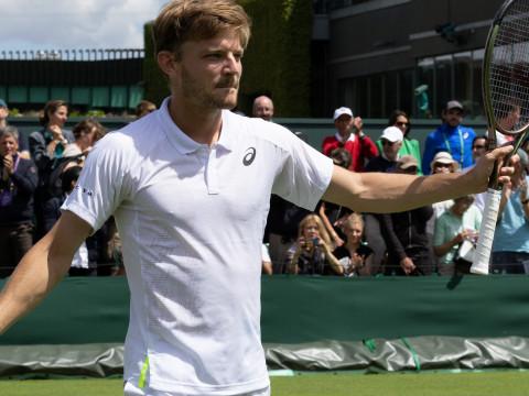 Wimbledon : Goffin passe le 1er tour