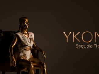 Ykons : clip et court-métrage pour le single SéquoÍ¯oa Trees 
