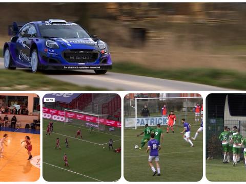 Zapping sports : une bête de course à Hannut