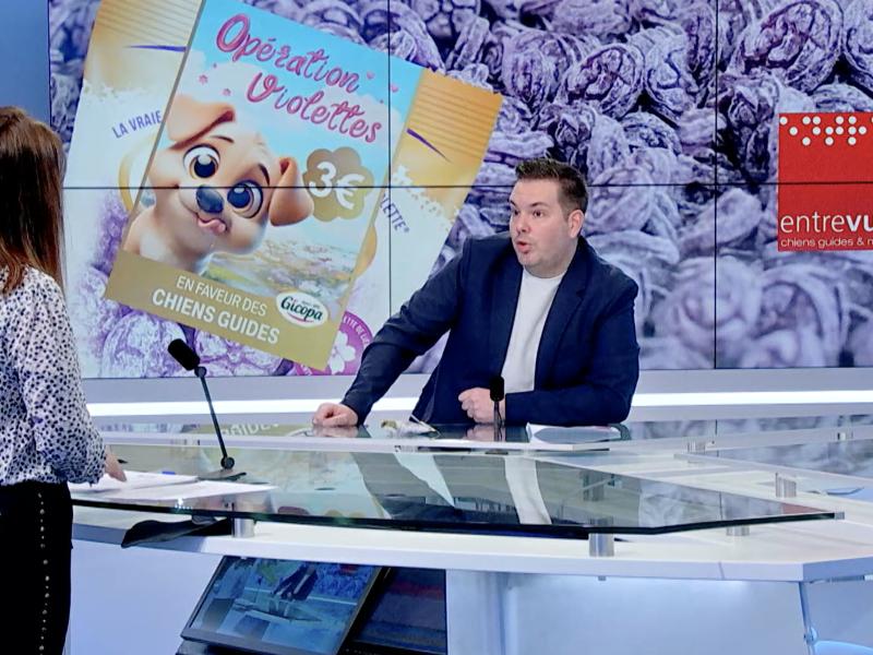 Invité: Entrevues pour l'opération violettes