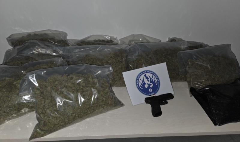 Tilleur : 2 interpellations et 200 plants de cannabis saisis