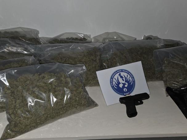Tilleur : 2 interpellations et 200 plants de cannabis saisis